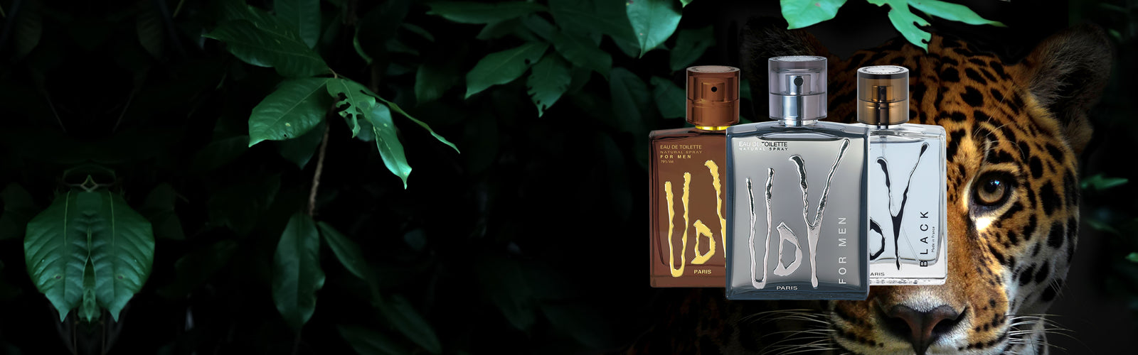 UDV For Men - Ulric de Varens -  -  -  -  -